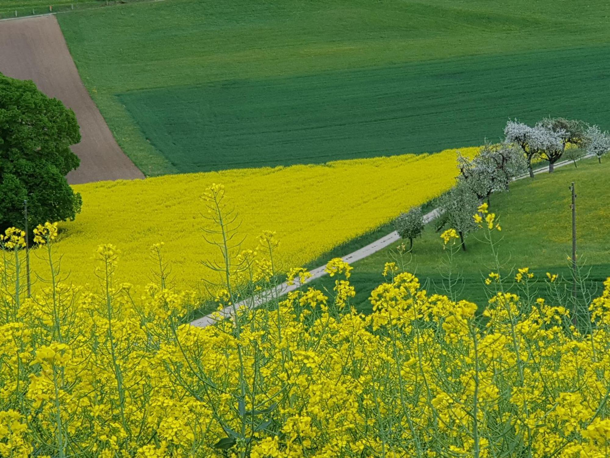 Bnb Moenthal Im Jurapark Esterno foto