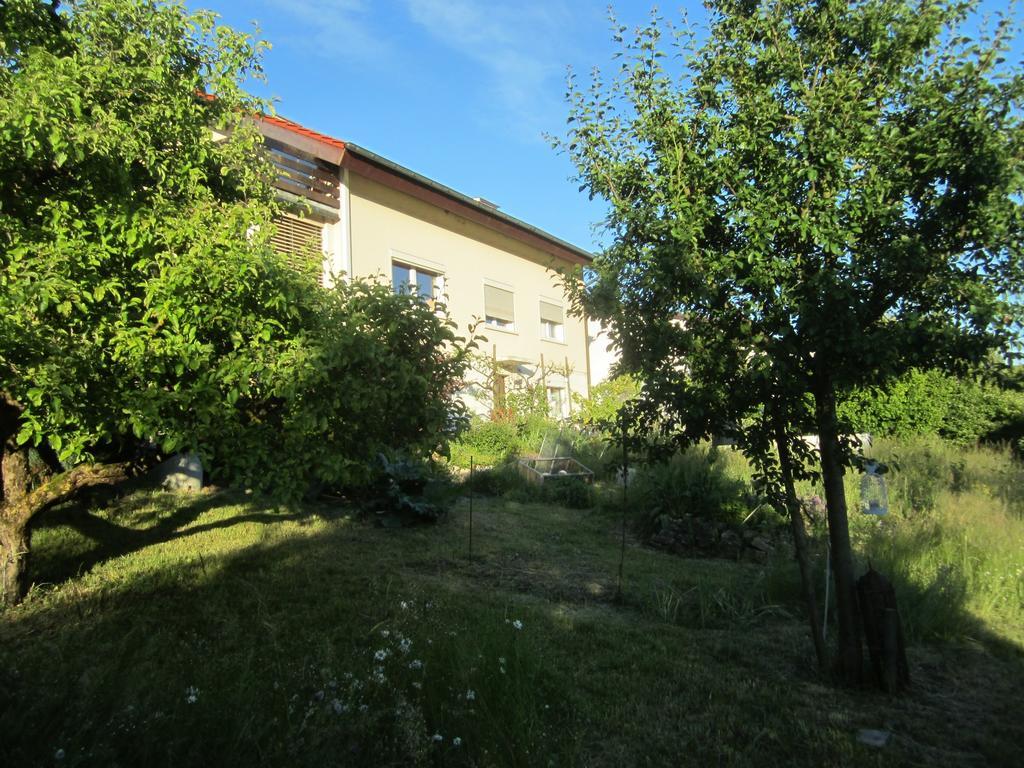 Bnb Moenthal Im Jurapark Esterno foto