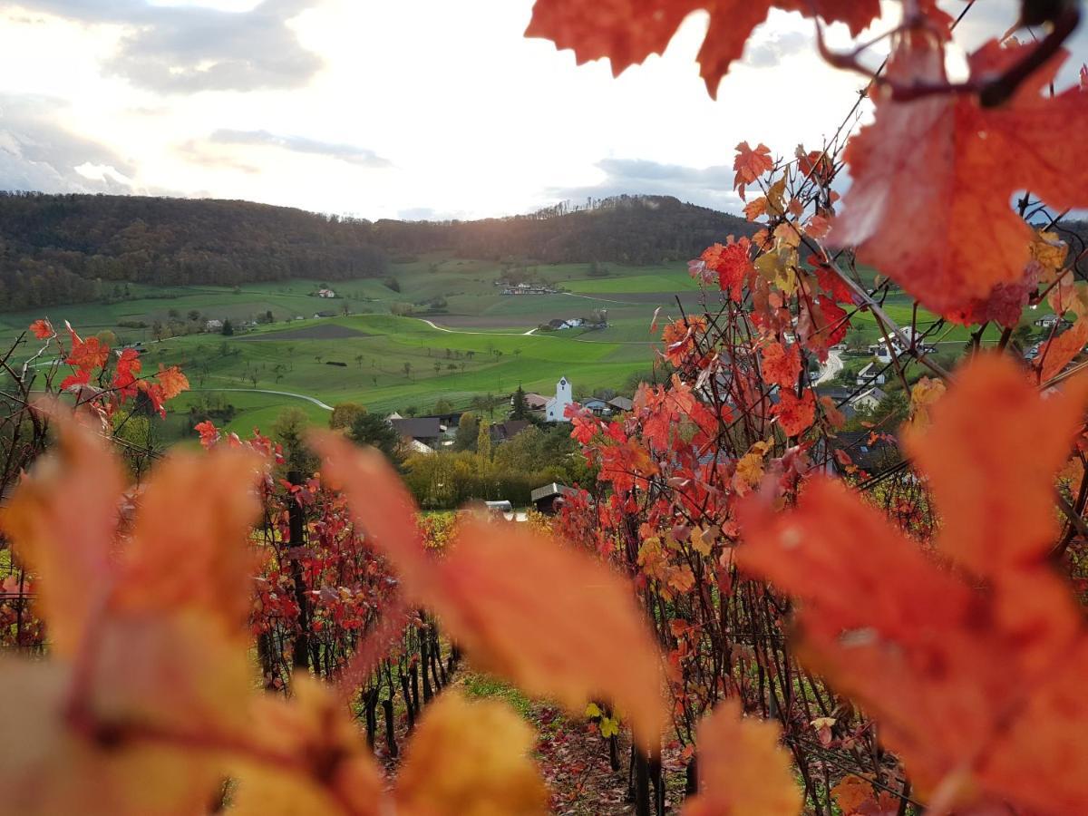 Bnb Moenthal Im Jurapark Esterno foto